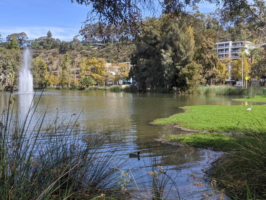 City & Lakeside With Free Parking, Pool And 10 Mins Walk Into The City パース エクステリア 写真